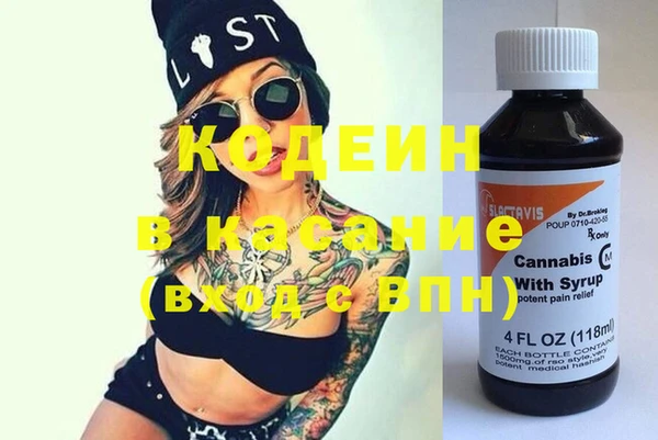 ГАЛЛЮЦИНОГЕННЫЕ ГРИБЫ Вяземский