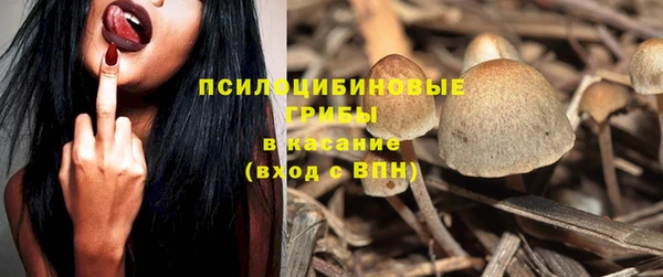 дмт Верея