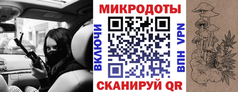 Галлюциногенные грибы Psilocybe  Емва 